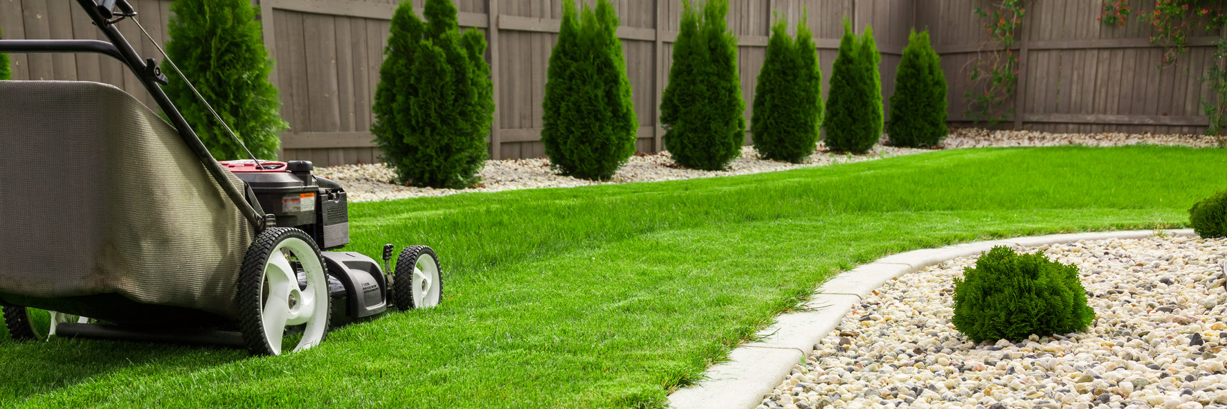 Best advice on home lawn irrigation in New Zealand