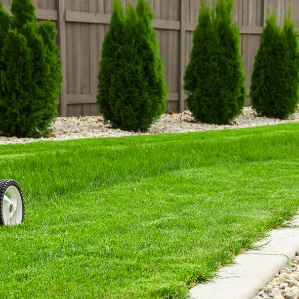 Best advice on home lawn irrigation in New Zealand