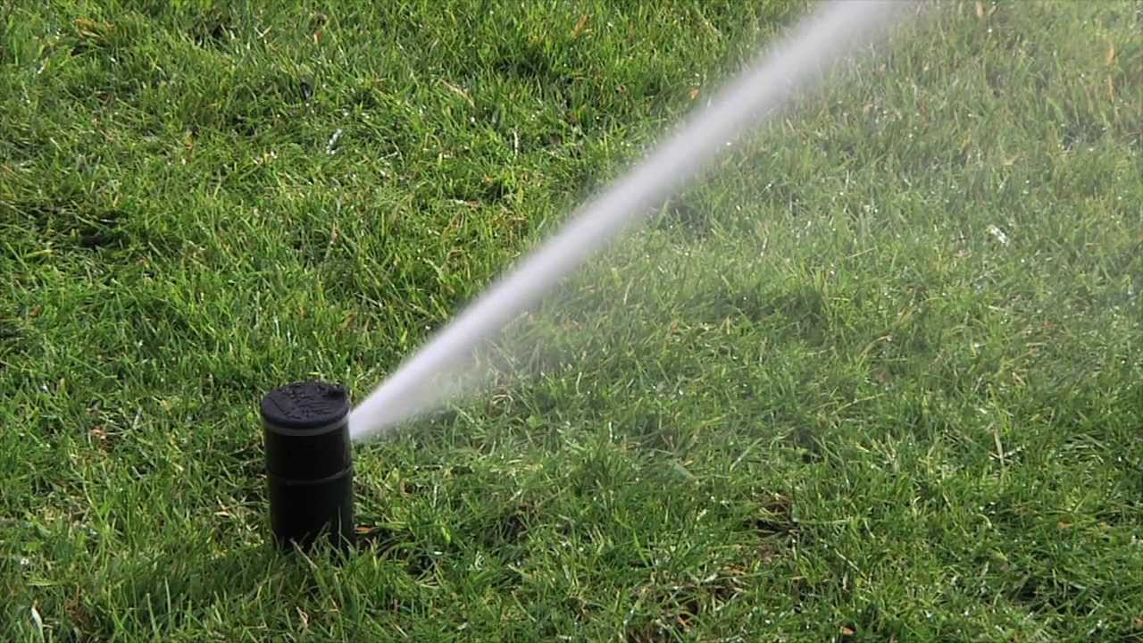 How to Adjust Landscape Hunter Pop-up Sprinkler Heads